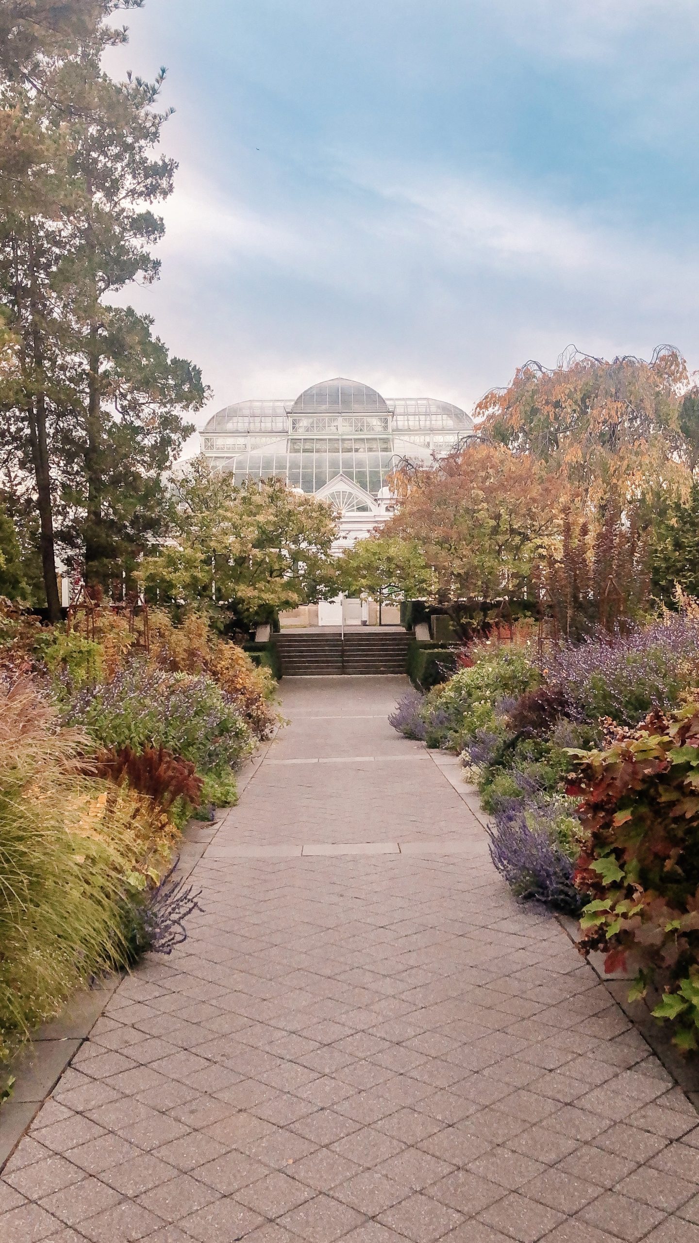 fall activities in new york city
