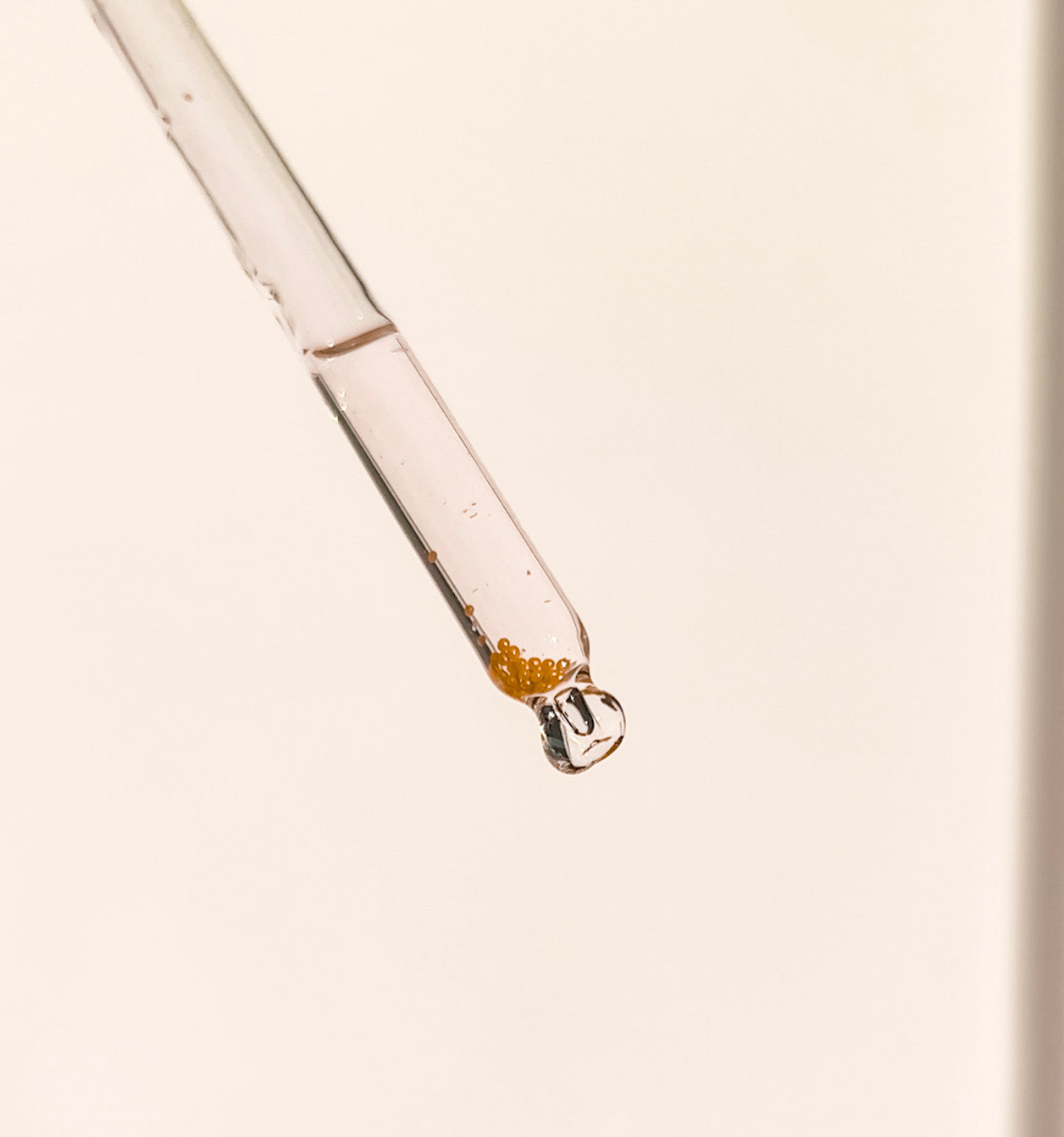 vitamin c serum product