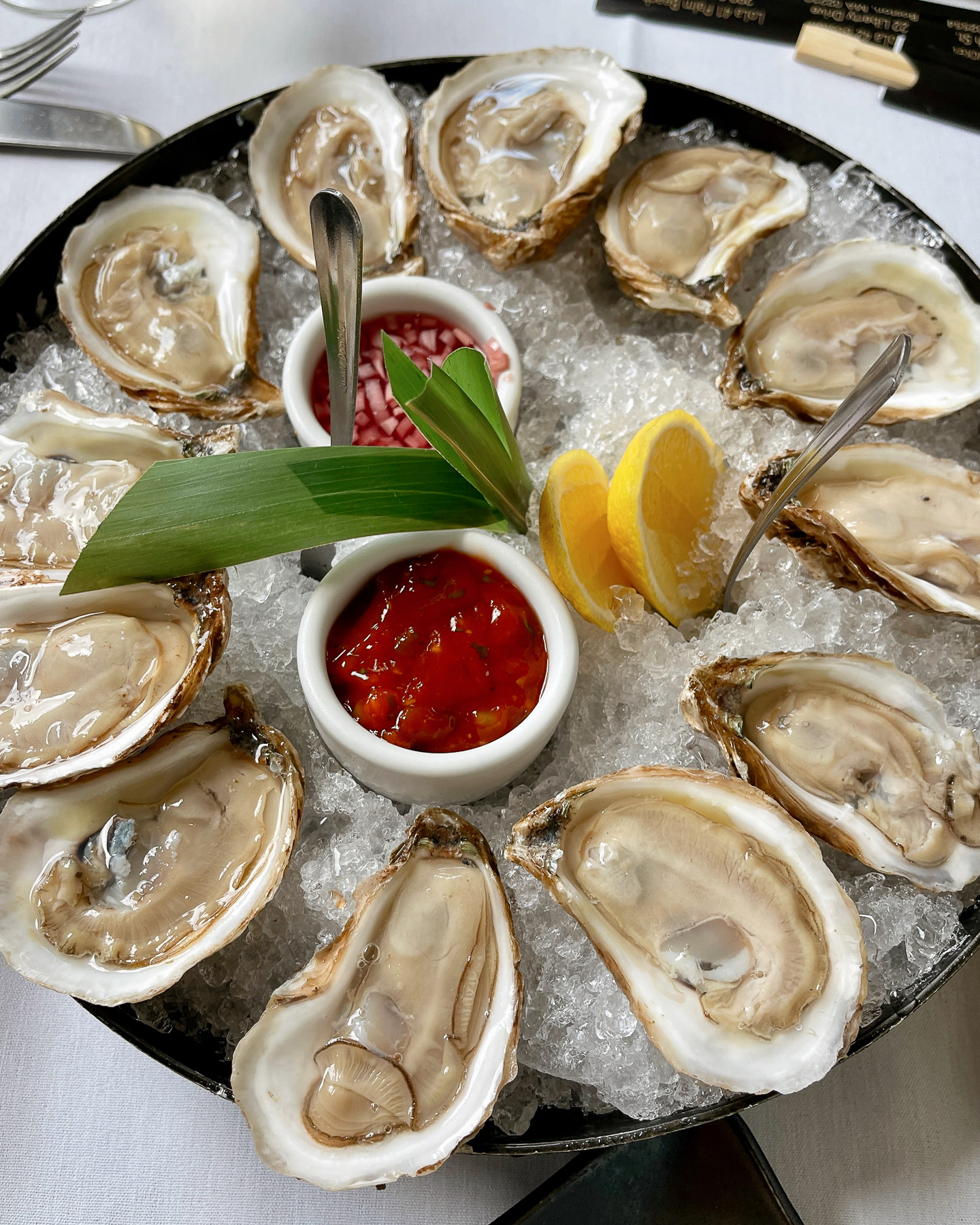 lola41 palm beach