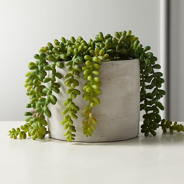 fake plant