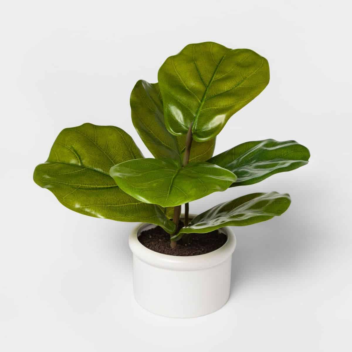 faux plant