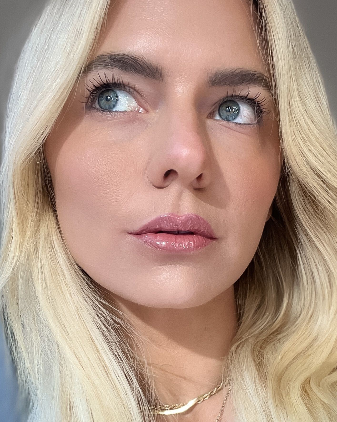 rose lip combo makeup
