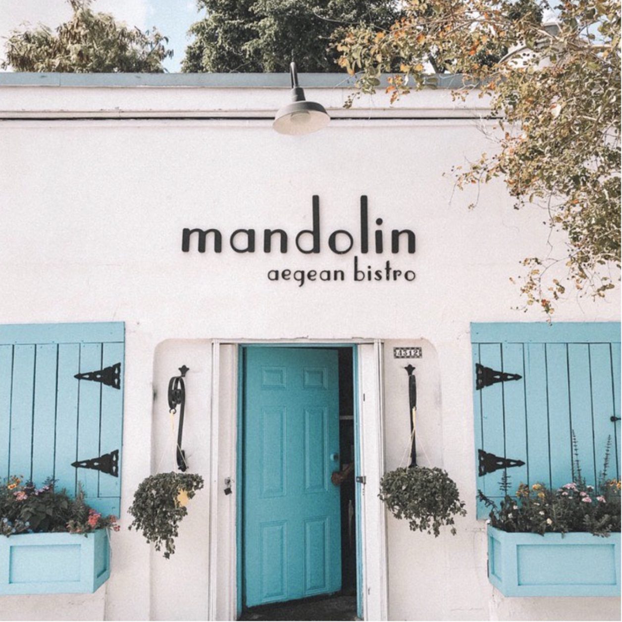 Mandolin Trendiest Restaurants in Miami