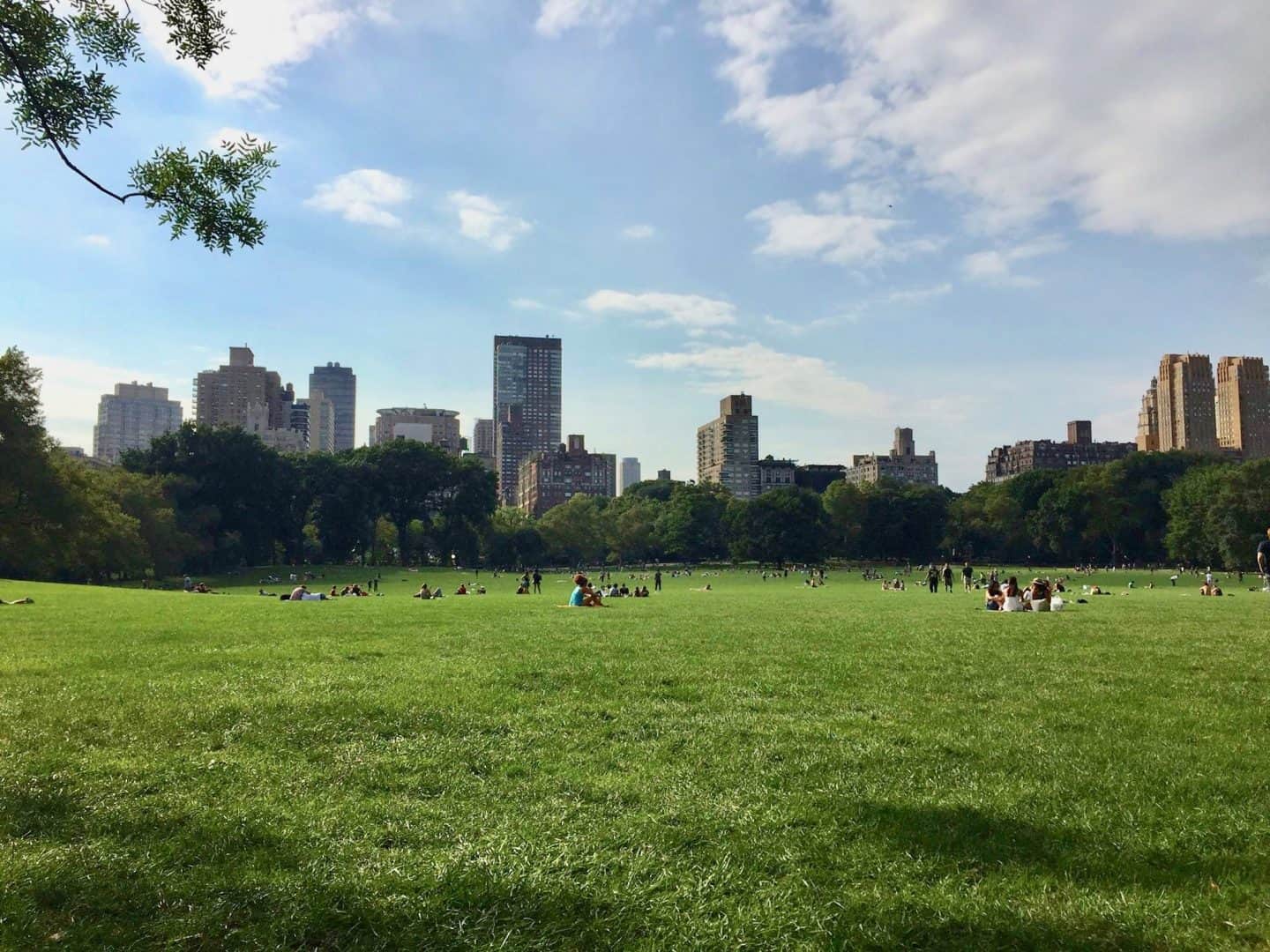 Sheep's Meadow NYC